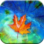 Logo of Autumn Leaves Live Wallpaper android Application 