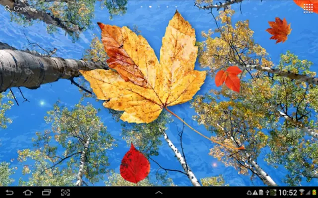 Autumn Leaves Live Wallpaper android App screenshot 0