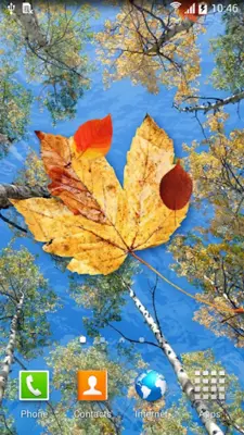 Autumn Leaves Live Wallpaper android App screenshot 4